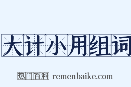 大计小用组词是什么意思的图片